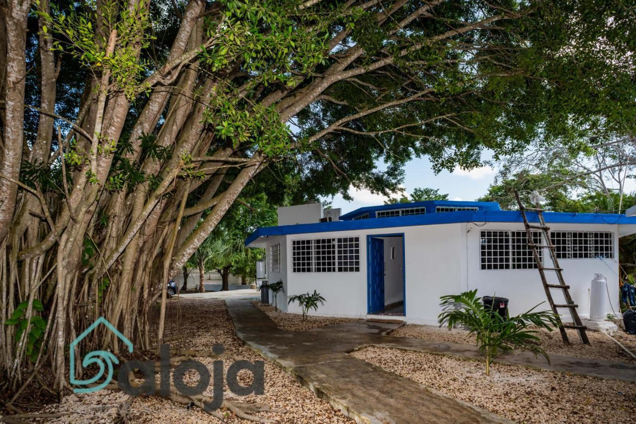 Villa Xtohil With Private Access To The Magic 7 Colors Lagoon Бакалар Экстерьер фото